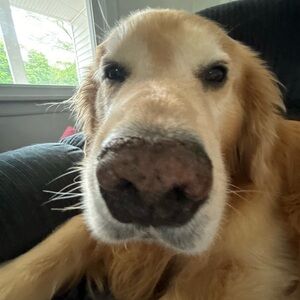 Meet your Posher, Adileen